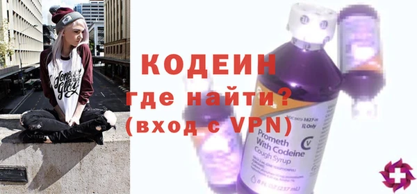 крисы Верхний Тагил