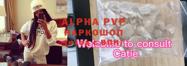 крисы Верхний Тагил