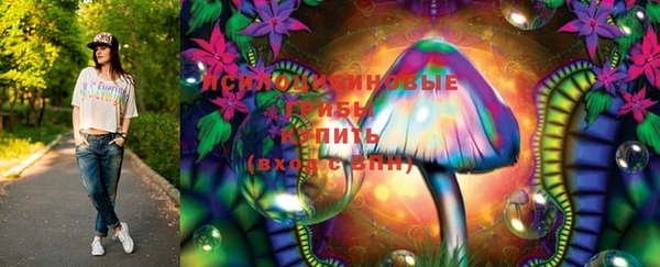 крисы Верхний Тагил