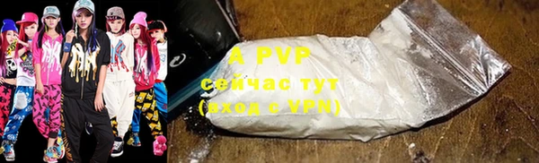 крисы Верхний Тагил