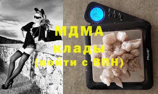 прущие грибы Тихвин