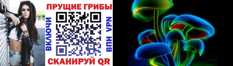 Галлюциногенные грибы ЛСД  наркотики  Клинцы 